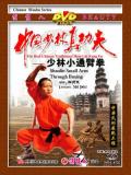 Shaolin Small Arm Through Fist (1 DVD) 少林小通臂拳